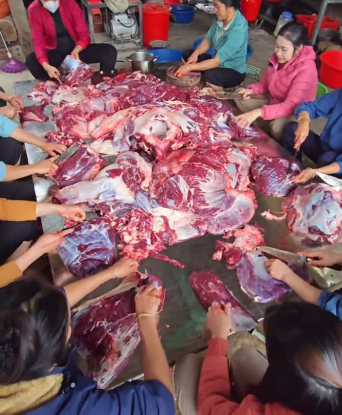 Trâu vùng cao - Nguồn nguyên liệu đặc biệt